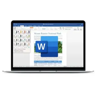 https://dxfji0njyrod3.cloudfront.net/media/84b5bf79-efd2-4223-905a-a26f087a98cc/small.webp?v=1754574297